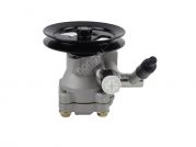 power steering pump for MAHINDRA BOLERO(TWO HOLES) D061-700A /490019