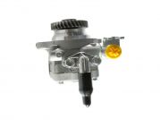  49110-VZ10B 49110VZ10B power steering pump for NISSAN URVAN E25